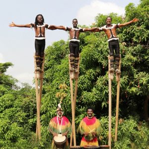 Afuma-les-echassiers-du-togo